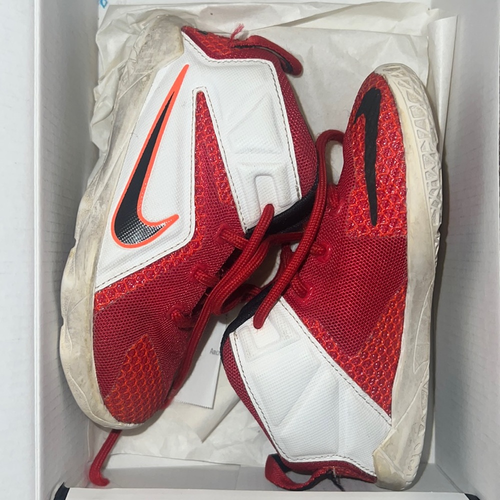 Lebron XII (TD)